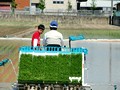 田植え 体験 トラクター