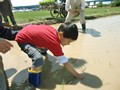 田植え 体験